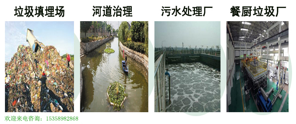 13.jpg 生物除臭劑——綠色環(huán)境友好的生物制劑