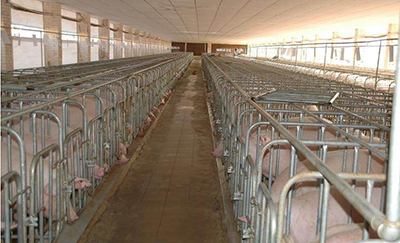 timg.jpg 畜牧類養殖案例